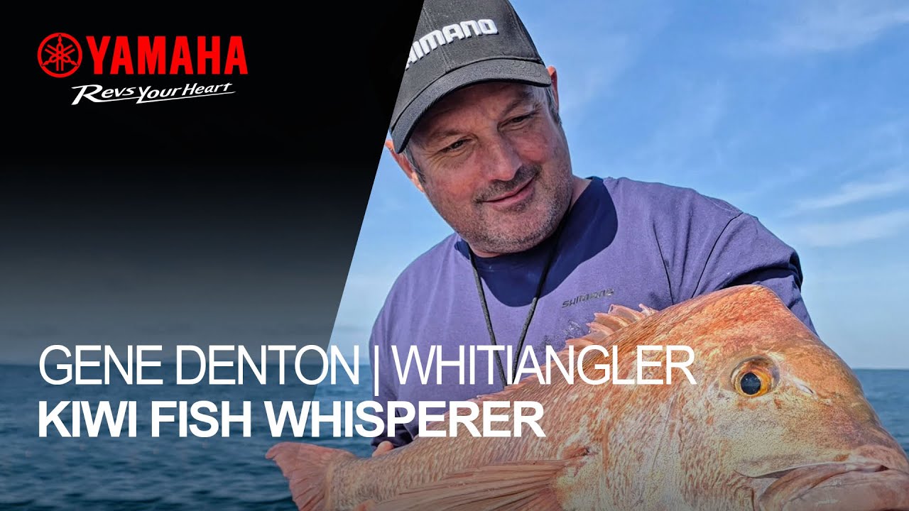 Gene Denton | Whitiangler - Kiwi Fish Whisperer