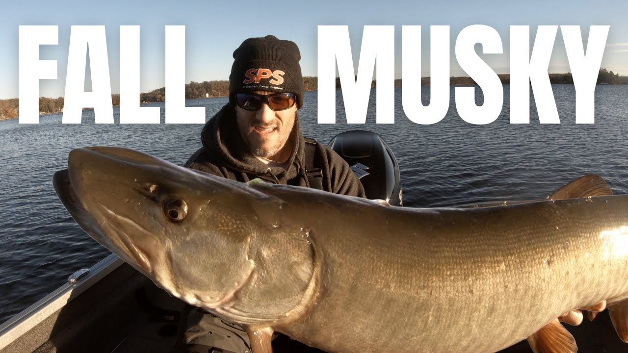FAT Fall Musky on the 8 | November Bulldawg Fishing
