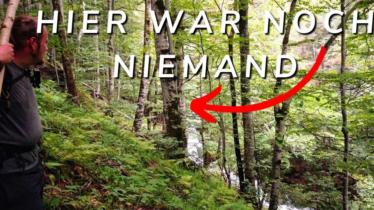 Das verlorene Tal - Expedition in die Wildnis der Karpaten