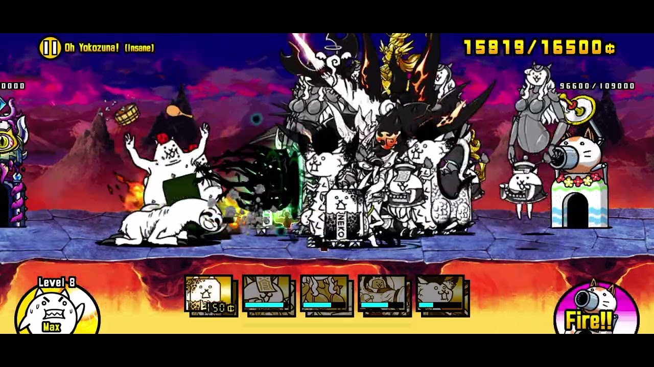 I got the riceball cat