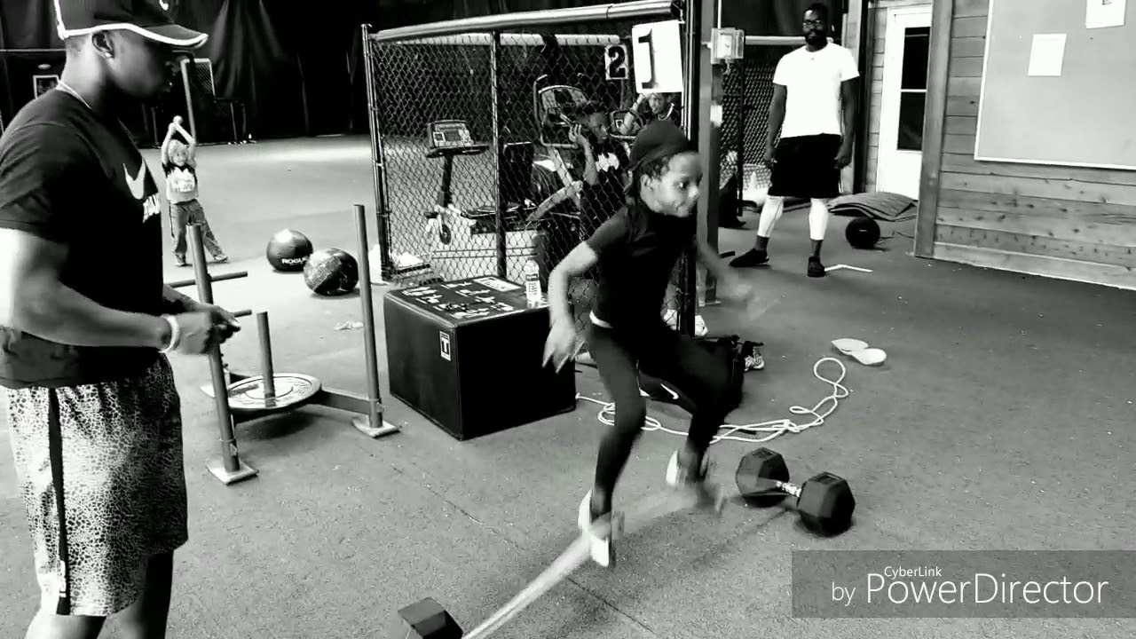 @dflash2.0 training