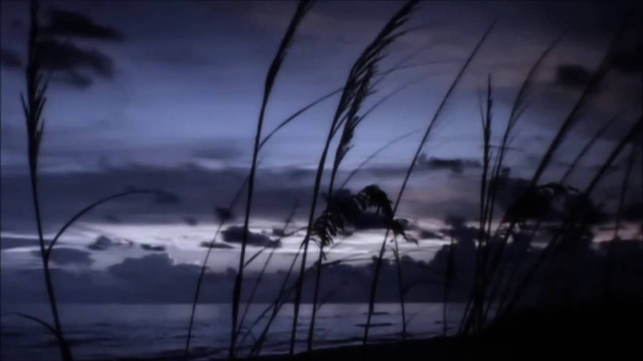 Eanz - Luchare Por Ti (Lyric Video) ft. Seudo