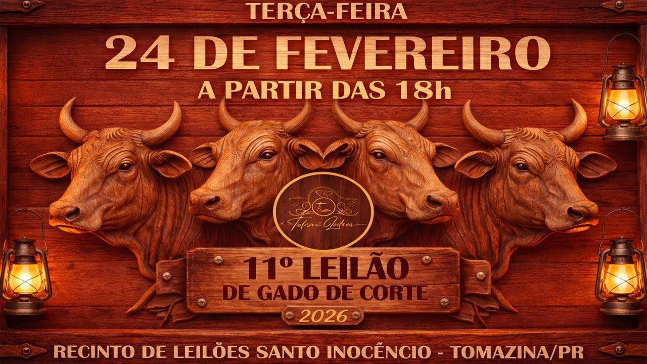 11° Leilão de Gado de Corte - 2026 | Talismã Leilões |Terça-Feira - 24/02 - 18h | Tomazina - PR