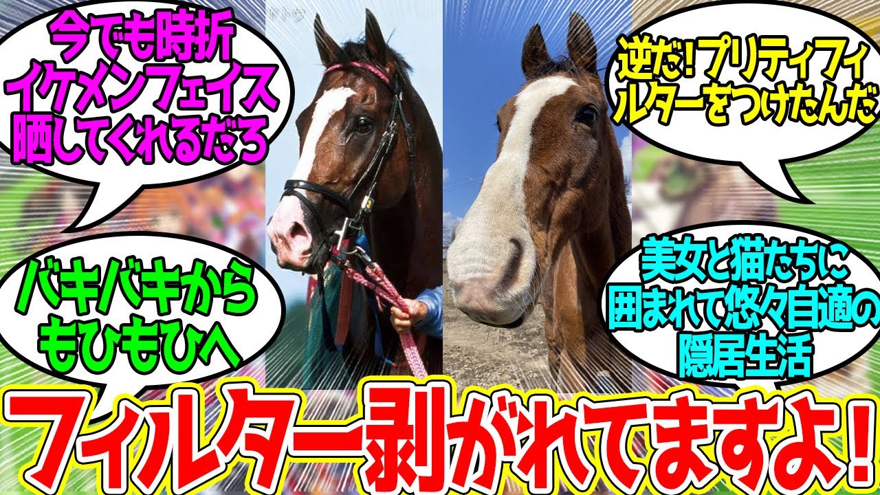 ドットさん ← うおっイケメンだ…に対するみんなの反応！【競馬 の反応集】