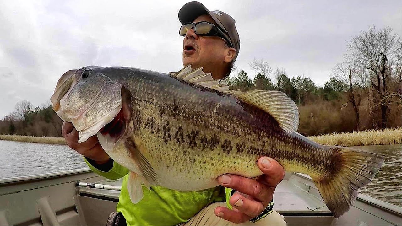 LOADS OF BIG BASS!!! Tips For Catching BIGGER FISH!
