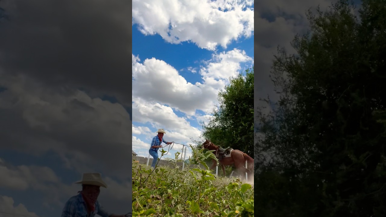 Learning on the job 🐴