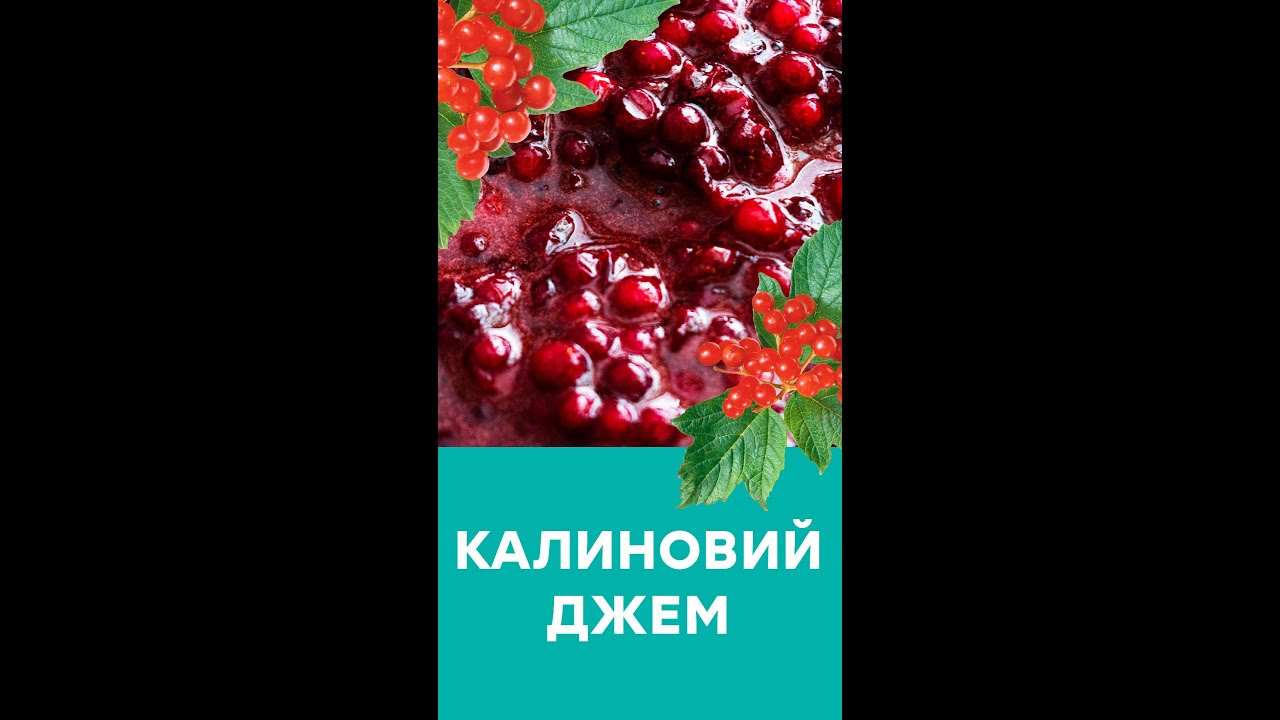 Рецепт калинового джема 