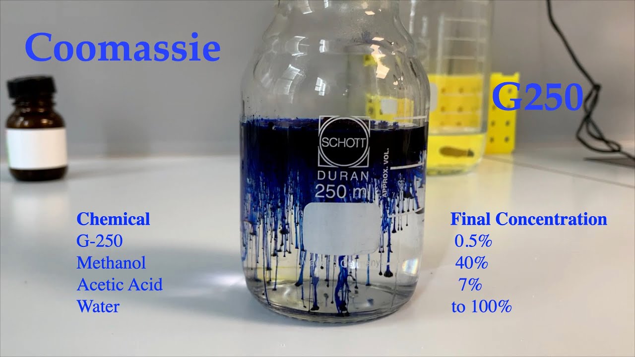 How to make coomassie brilliant blue dye for SDS staining (G 250)