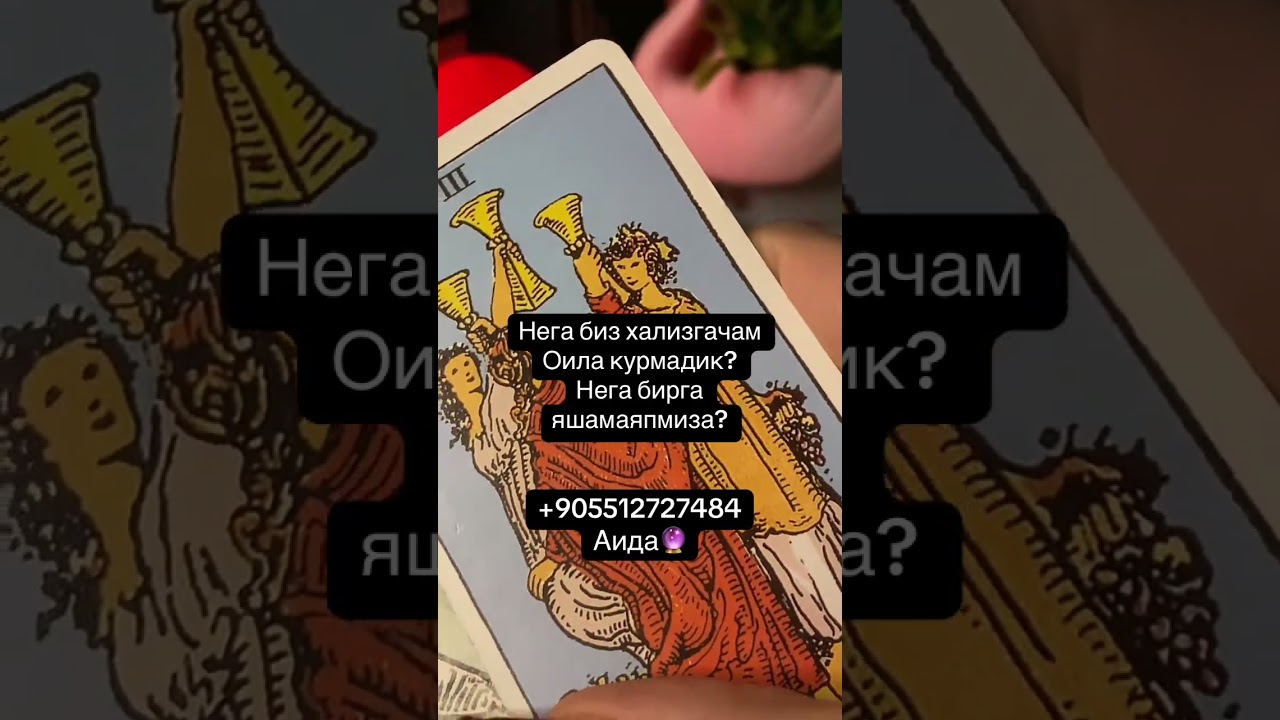 НЕГА СИЗ ХАЛИЗГАЧАМ ОИЛА КУРМАДИЗ У БН❤️🕊️💔