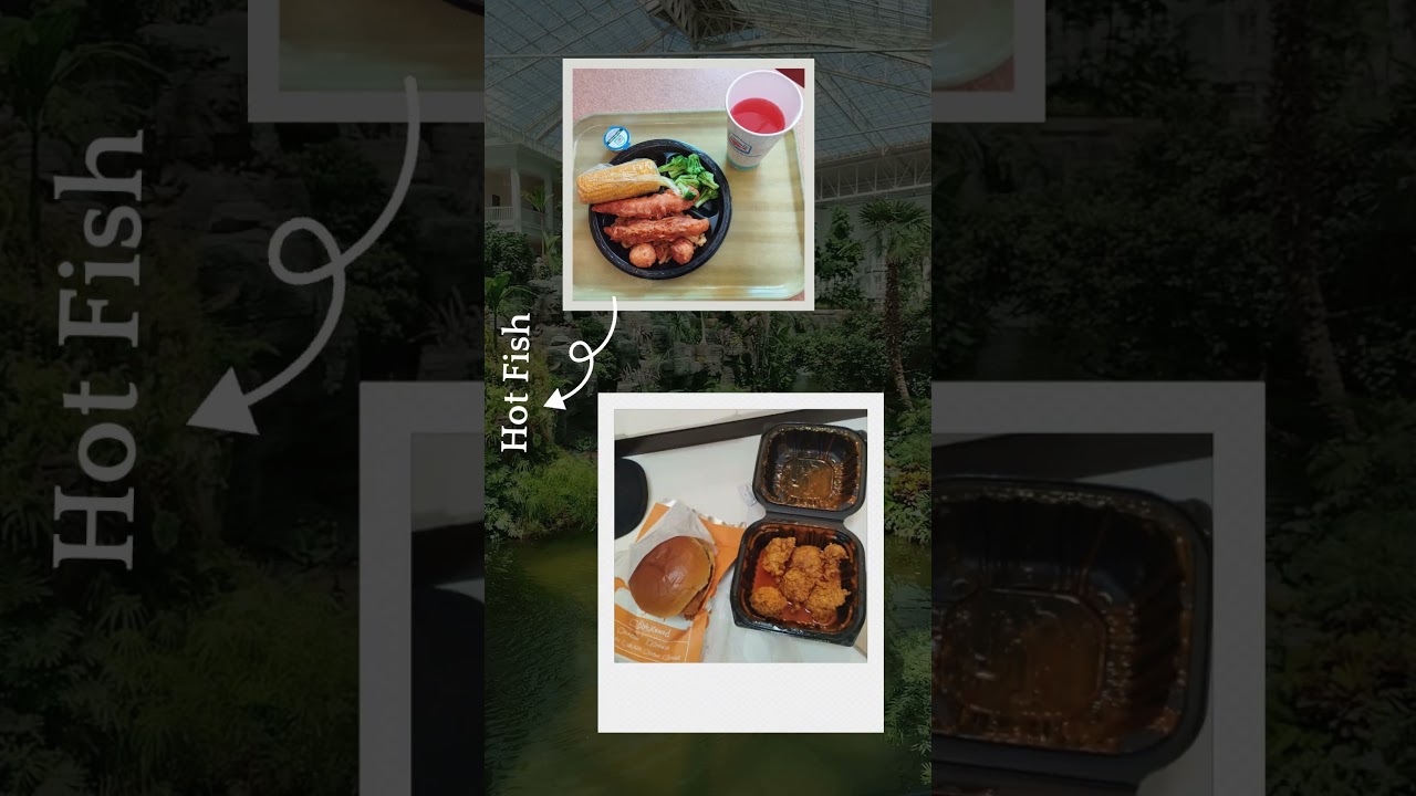 Nashville Day 4: Opry Mills Shopping & APMP BidCon Stopover