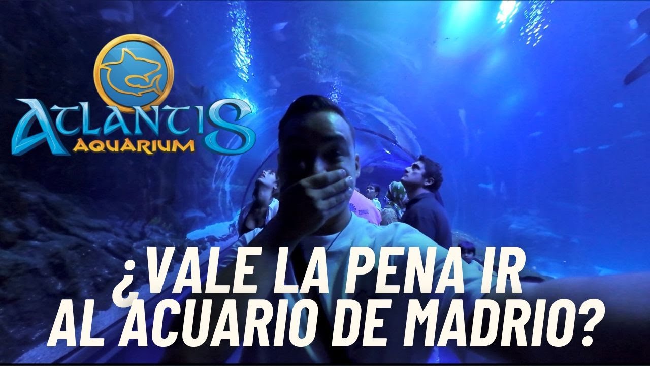 Acuario en MADRID - Planes para hacer en Madrid | ATLANTIS AQUARIUM