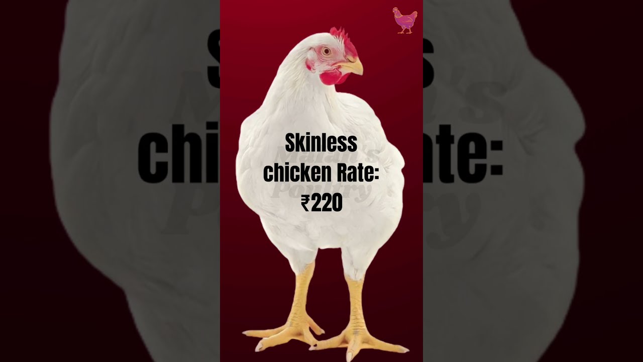 Chicken Rate in Hyderabad wednesday 24/01/2024