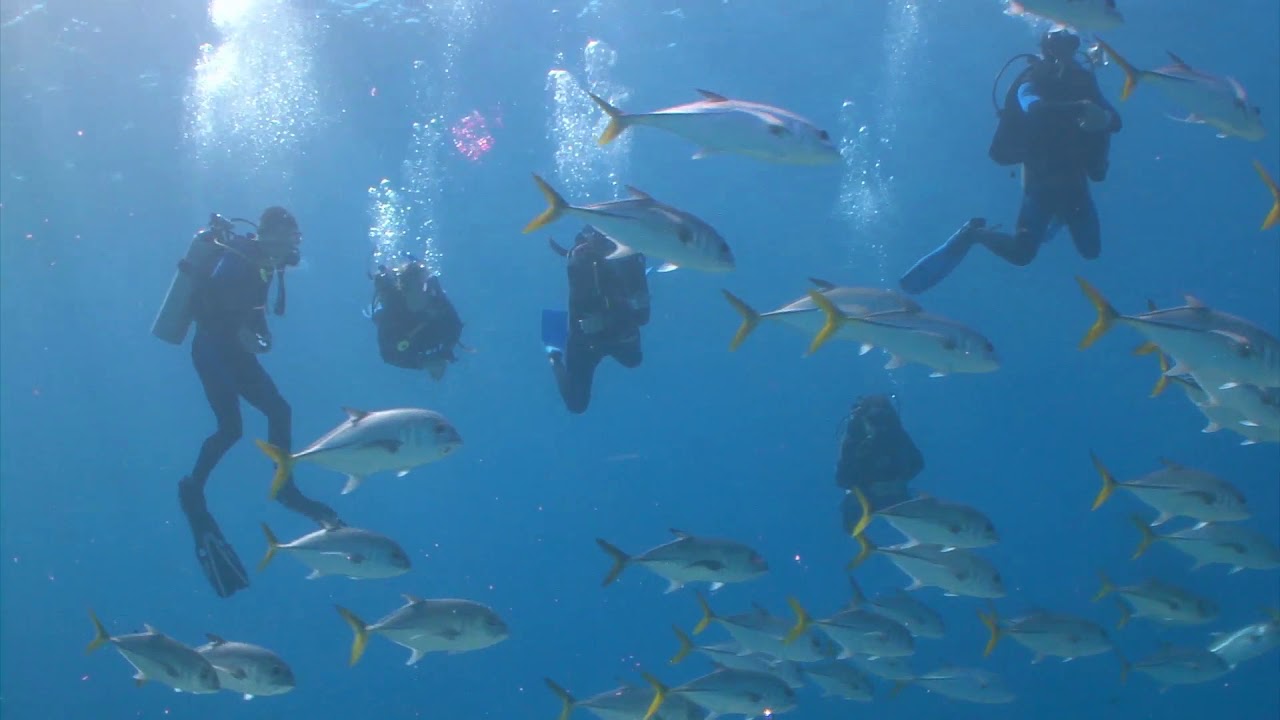 Wrightsville Beach Water Experiences