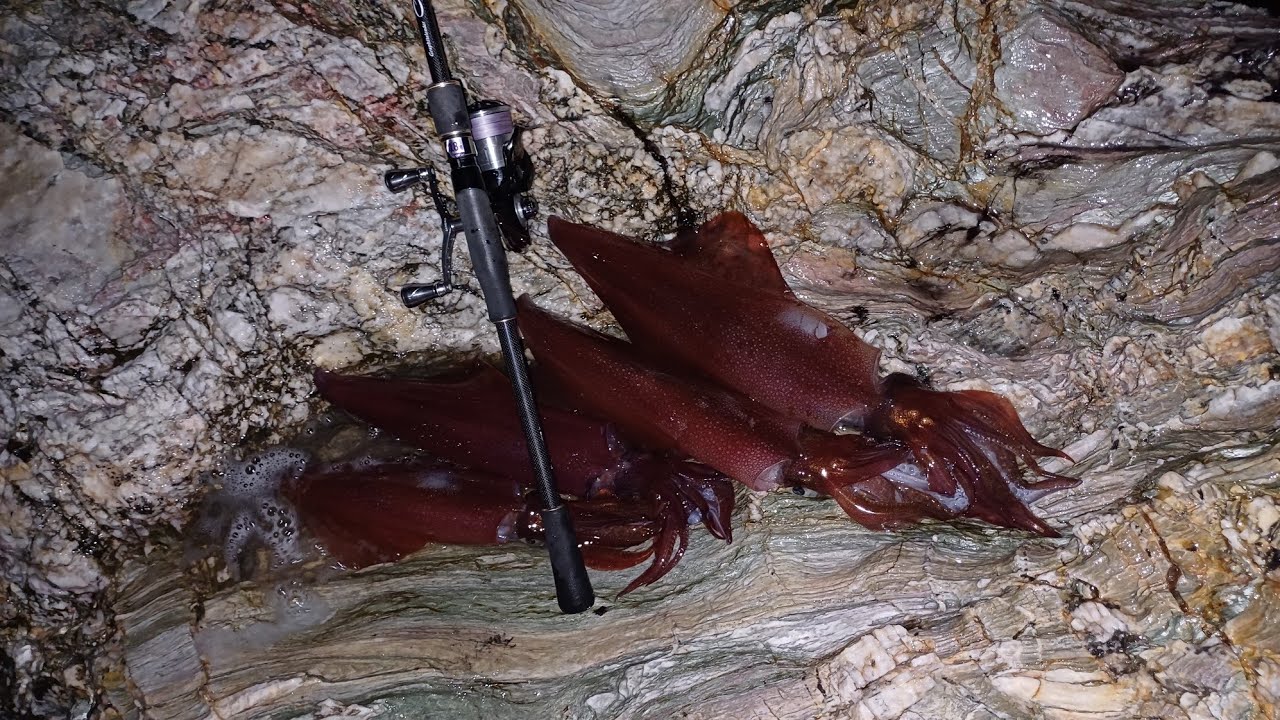 Καλαμάρια Από Την Ακτή! Shore Eging!