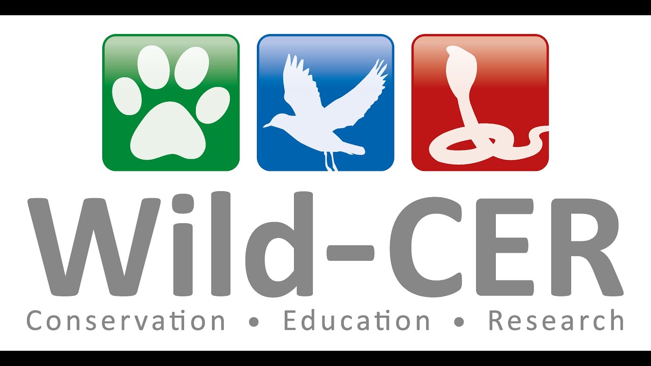 Conservation journey of Wild-CER