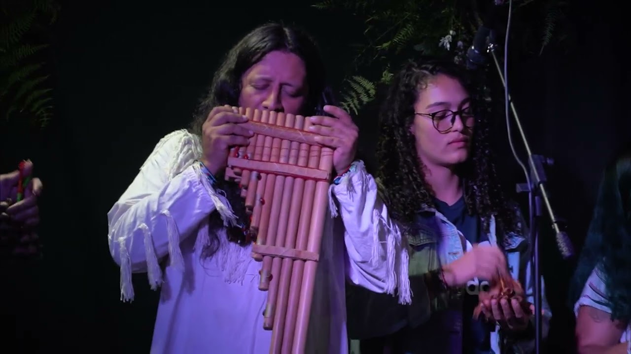 Johnysleyder Gallego-El Espíritu del Jaguar Cover (Concierto lanzamiento EPvisual Paraíso Escondido)
