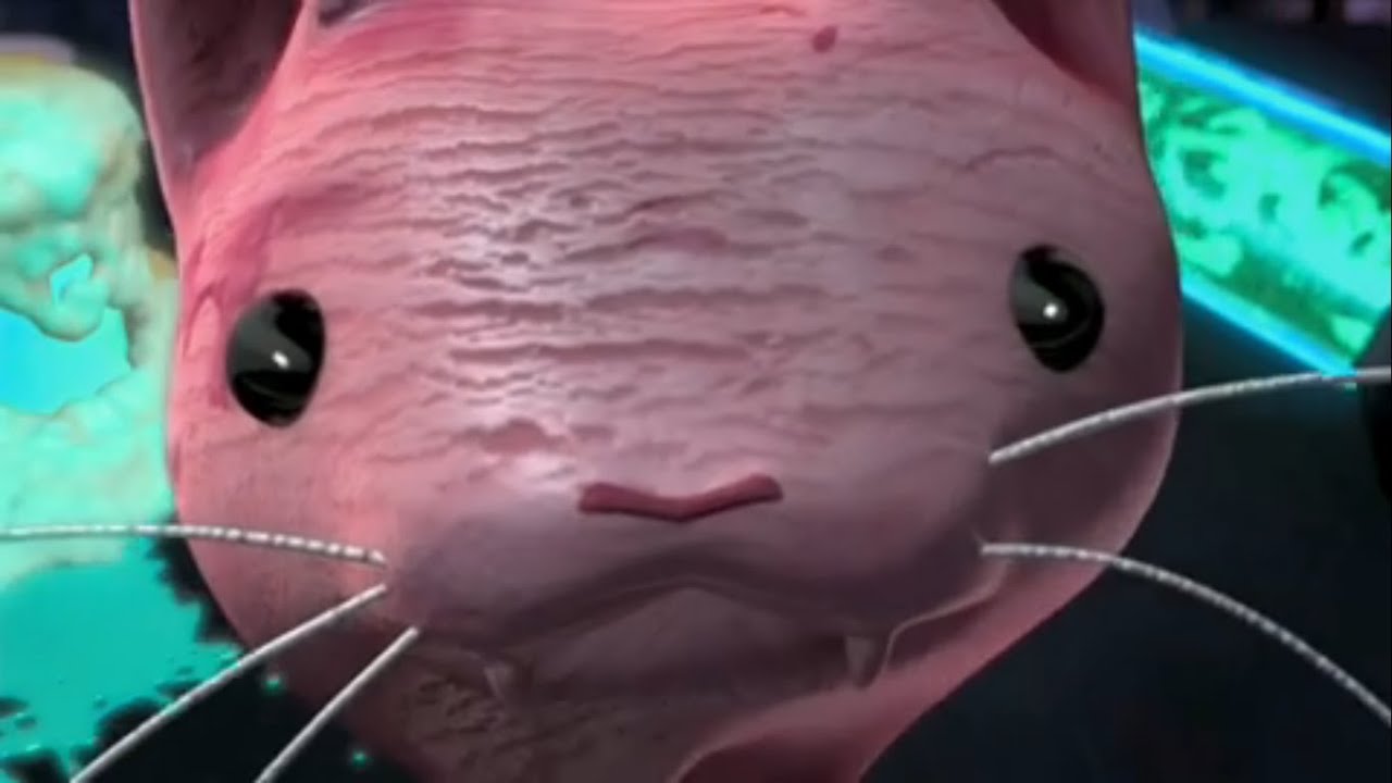 TMNT Ice Cream Kitty - I Knew You Were Trouble