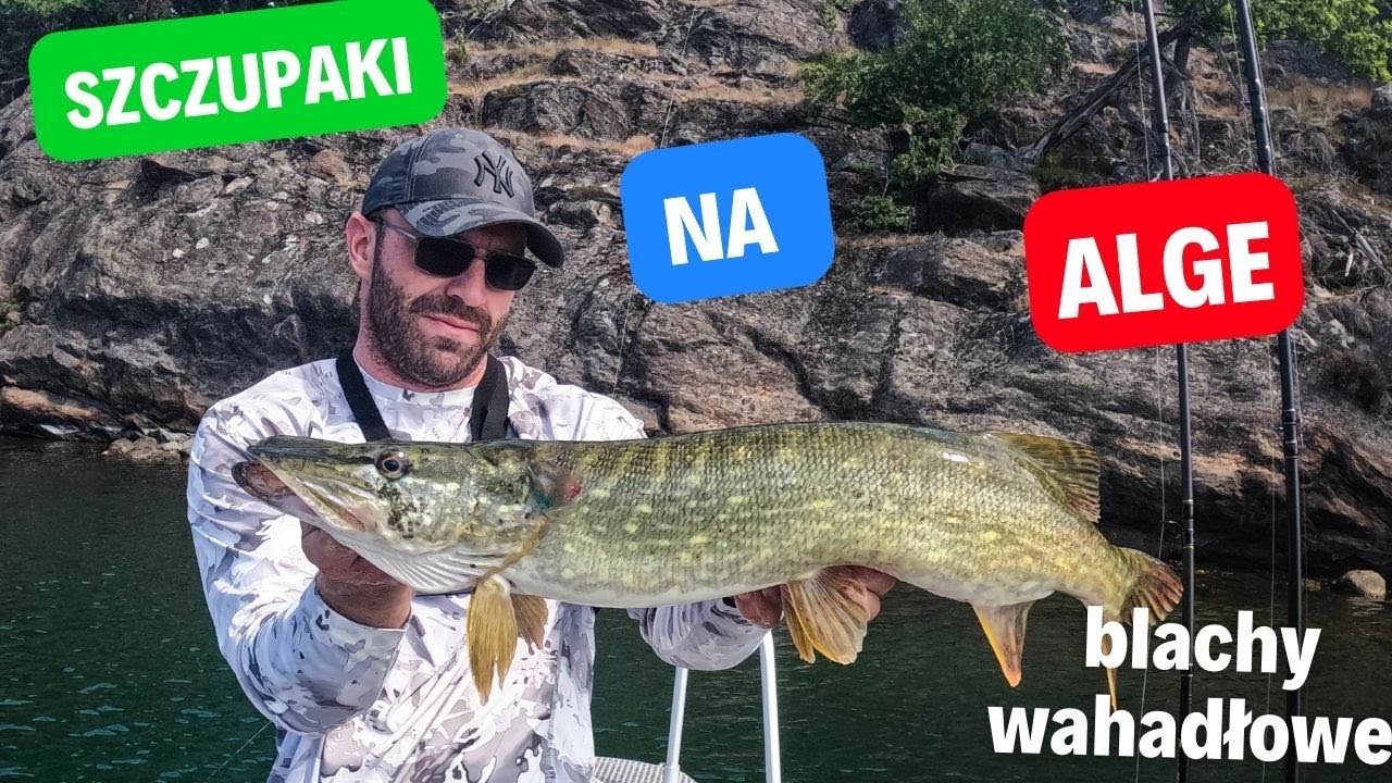szczupaki na alge! blacha wahadłowa kolejny raz!