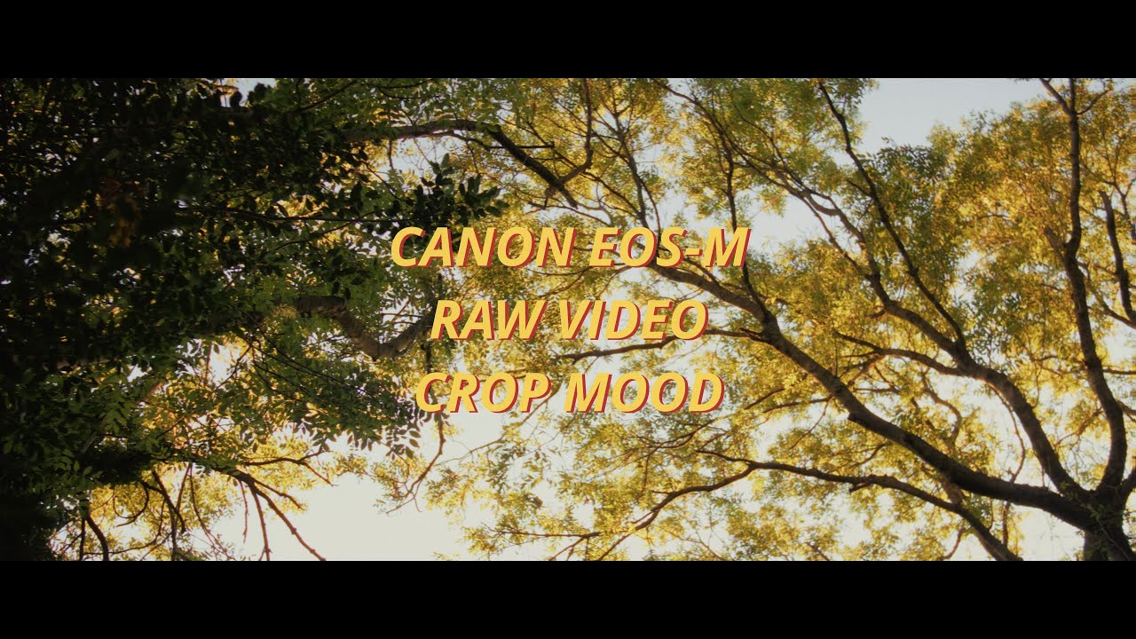 Canon EOS-M ARRI Look RAW Video Filmed With SIRUI NIGHTWALKER 24mm T1.2  / Magic Lantern Crop Mood