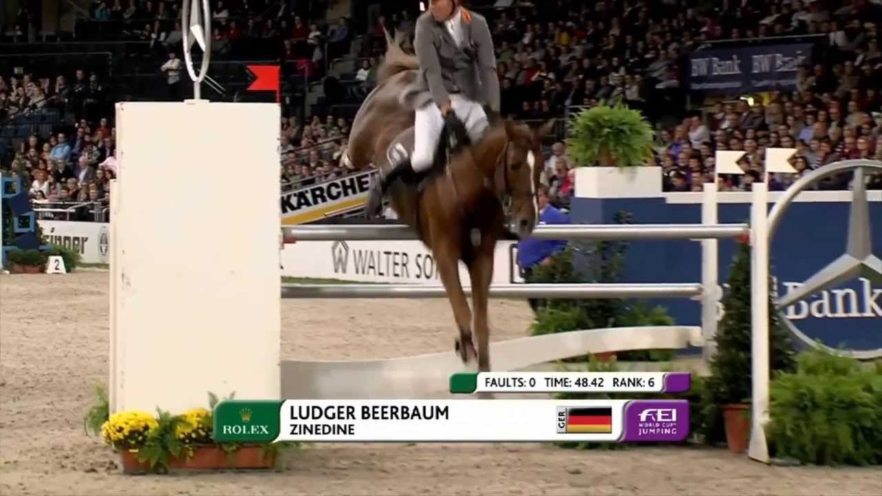 Zinedine - Etalon Béligneux le haras 2014
