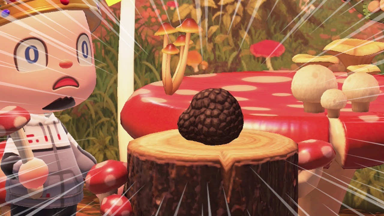 🍄 MYTHBUSTING MUSHROOMS & Spawn Science In Animal Crossing New Horizons!