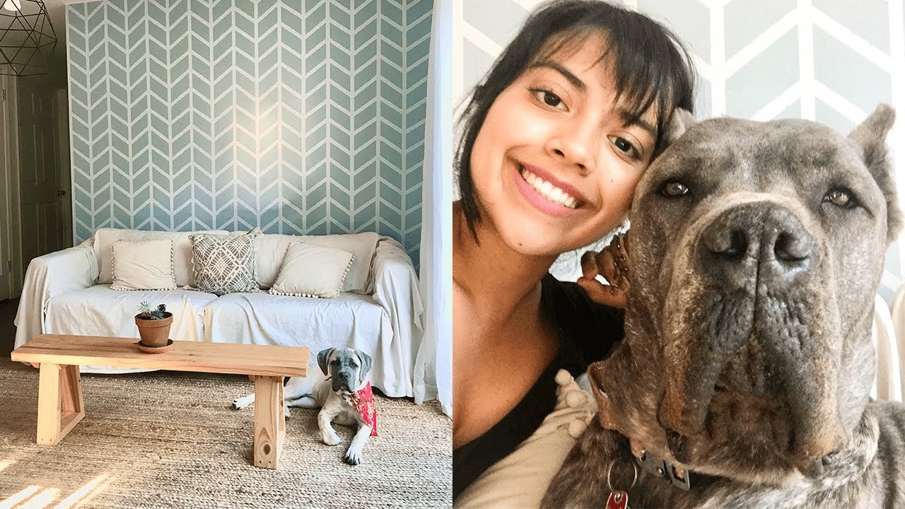 Cane Corso Top 5 Tips for a Clean Home with Big Dogs