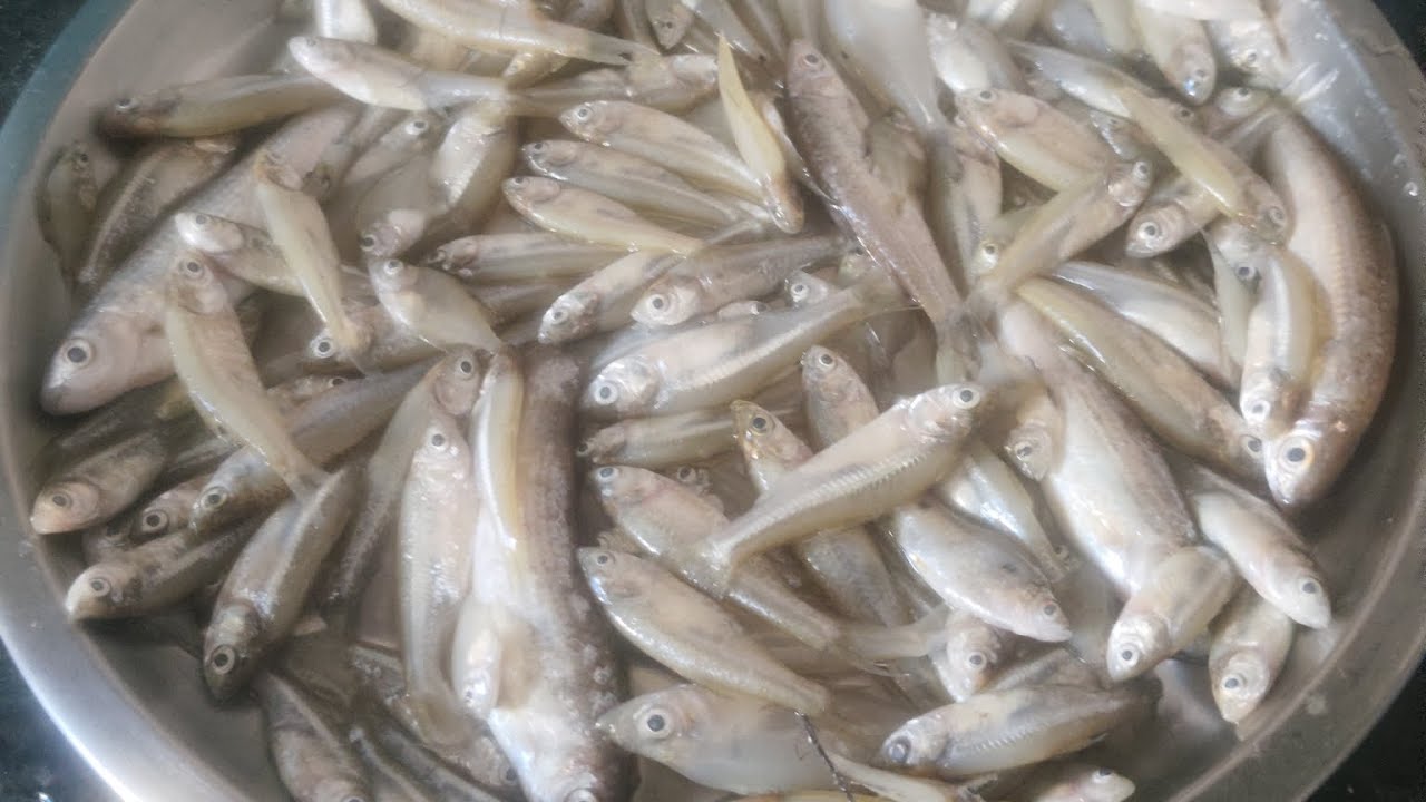 ଆଖିରୁ ଚଷମା ଖୋଲି ଯିବ 