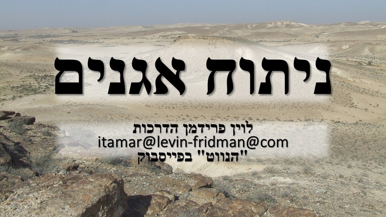 ניתוח אגנים במפה הטופוגרפית - הנווט