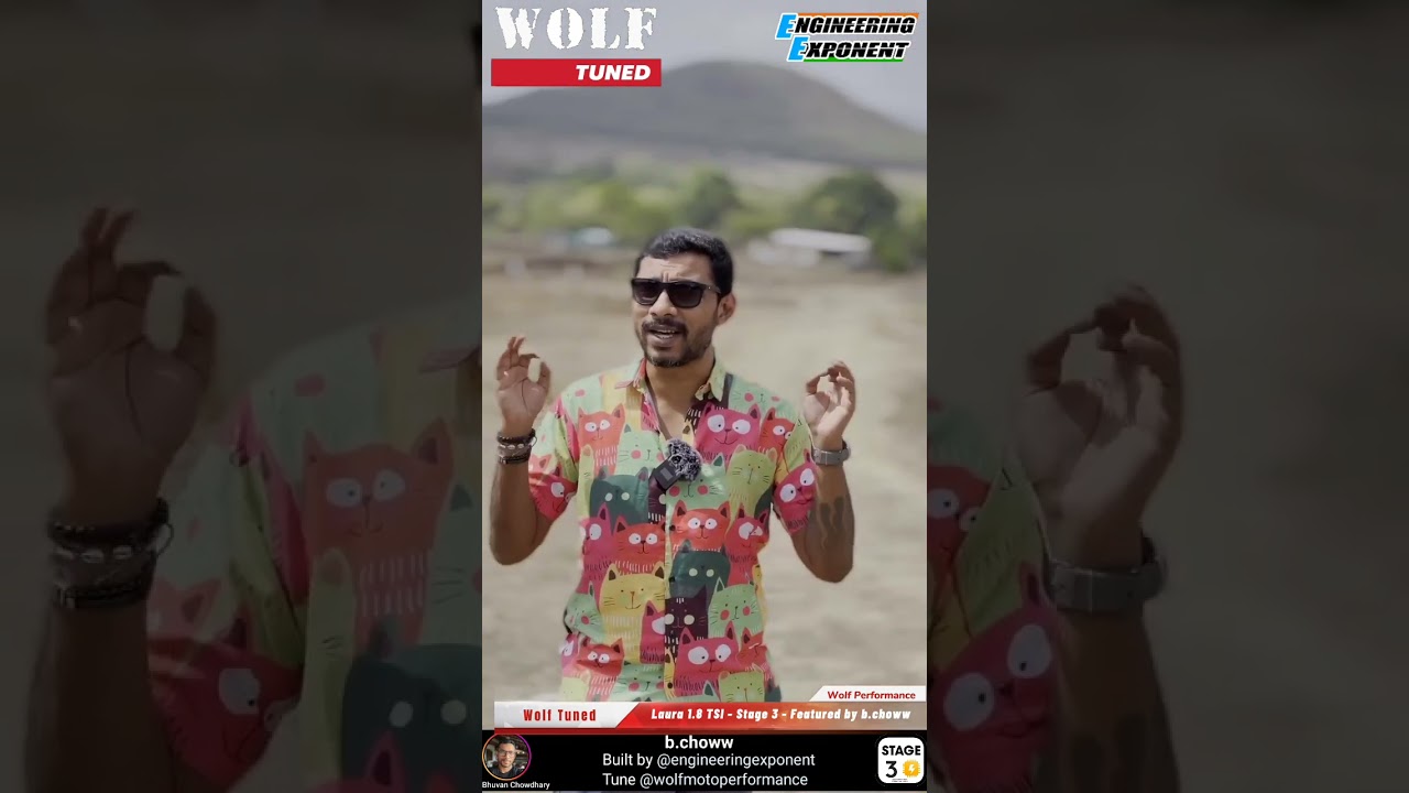 Laura 1.8 TSI - Wolf Stage 3