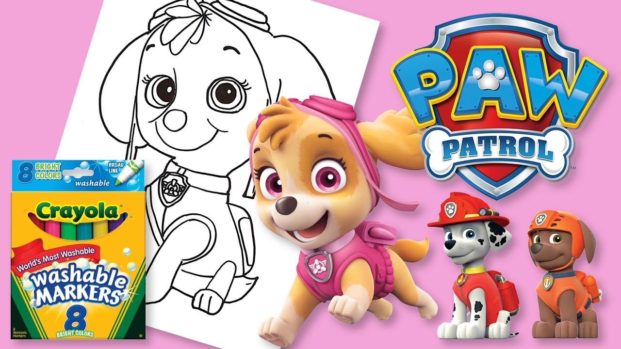 Paw Patrol Skye ! | Fun coloring book in Crayola pens!