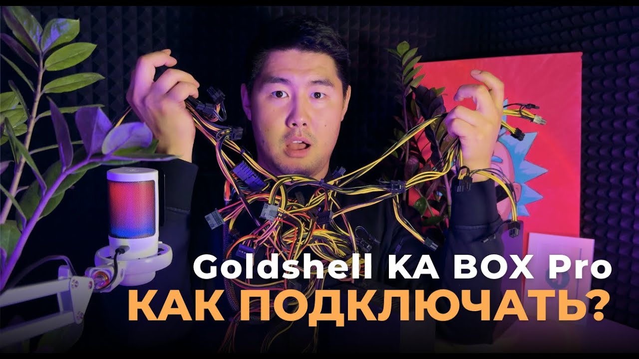 Goldshell KA BOX Pro &ndash; ПОЛНЫЙ ОБЗОР! КАК ПОДКЛЮЧИТЬ И ЗАПУСТИТЬ?