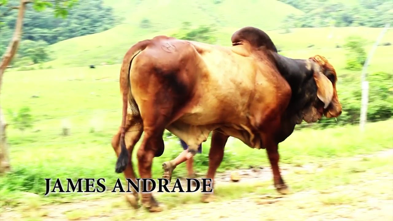 Finquero caquete&ntilde;o james andrade