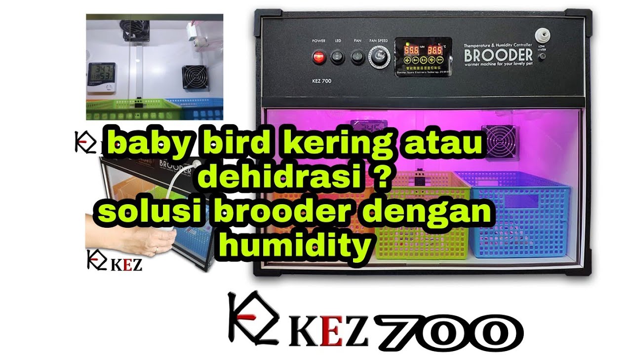 REVIEW KEZ 700 ,brooder penghangat anakan burung (baby bird) , dengan humidity