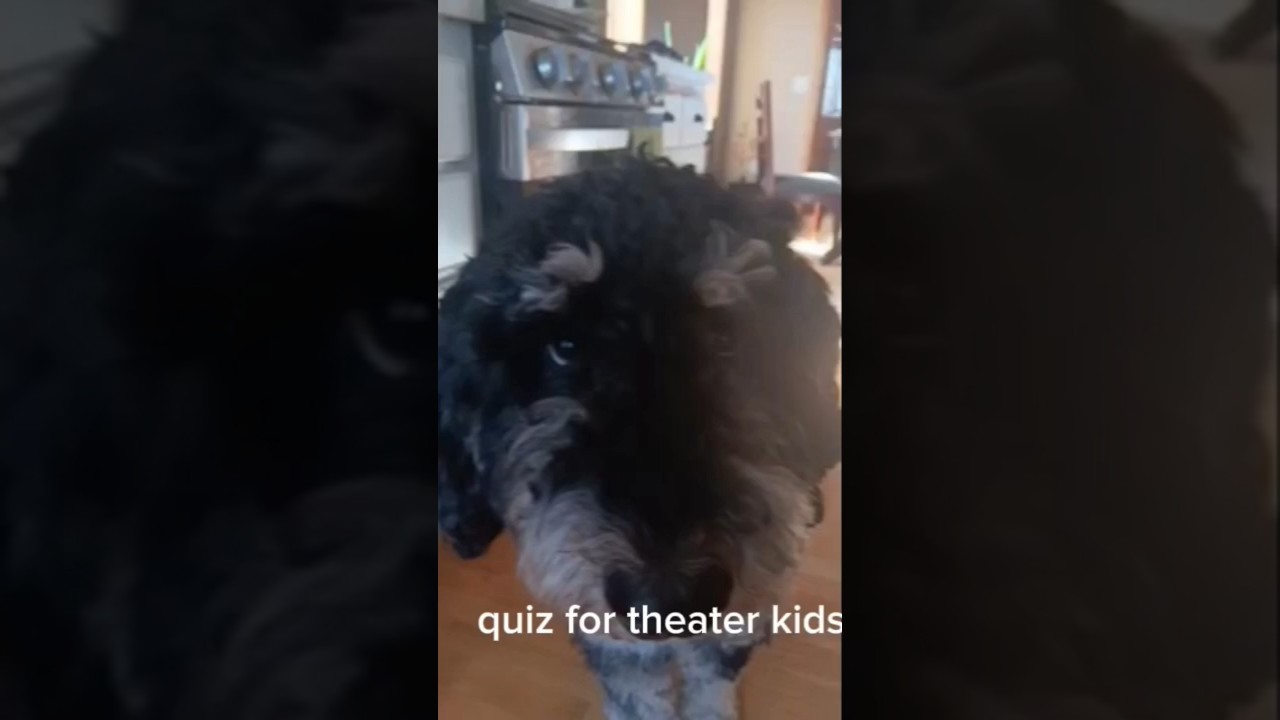 :P 