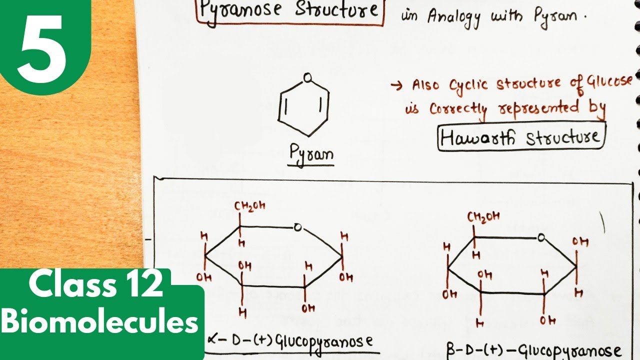 5) Pyranose or Haworth structure of glucose|glucopyranose structures| Biomolecules class12 chemistry