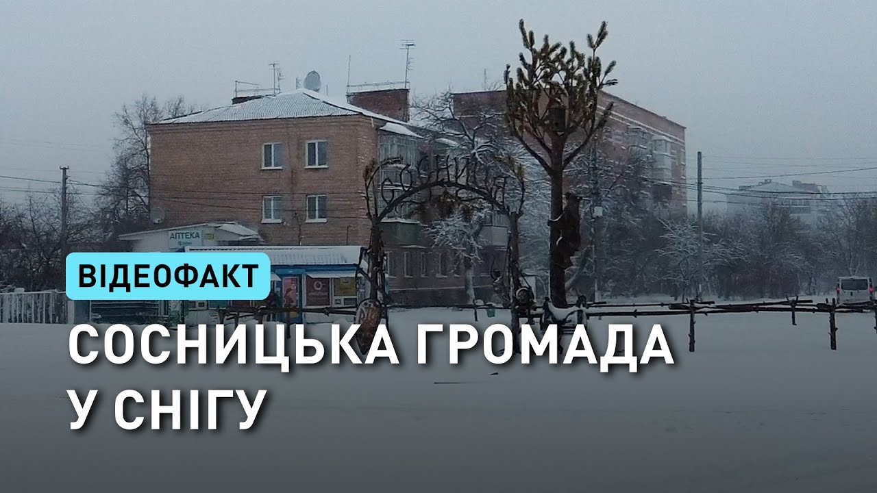 Потужний циклон засипав снігом всю Сосницьку громаду