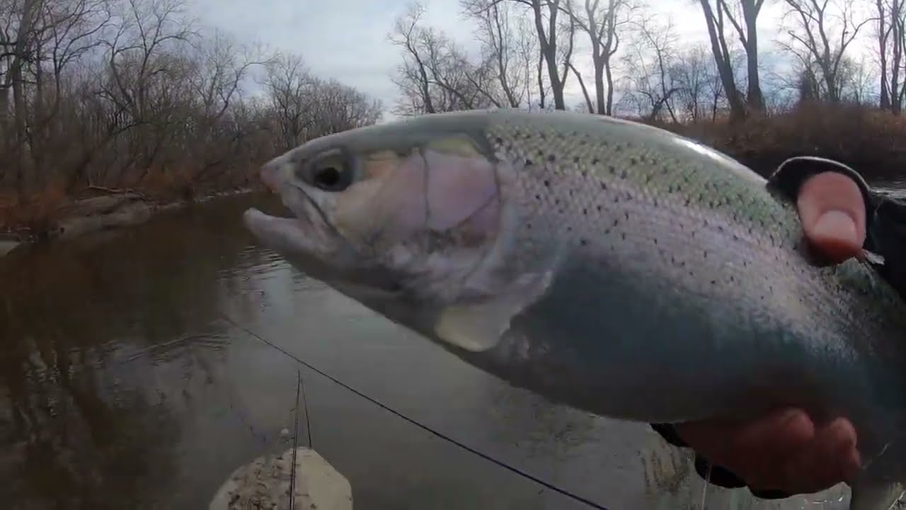 Float fishing for Steelhead using a center pin (Bobber Downs included)
