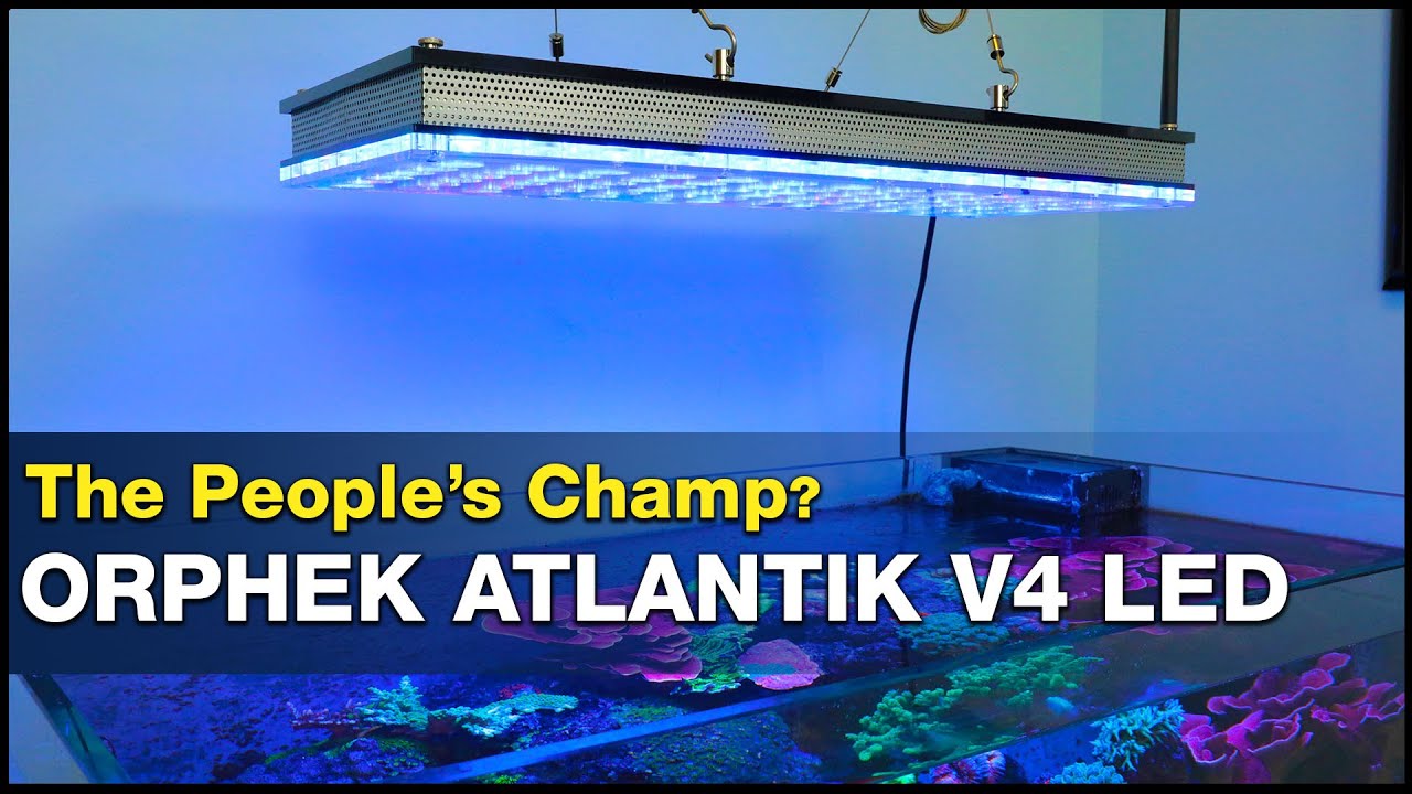 How'd they do that!? Secrets behind the Orphek Atlantik V4 and the successful reefers who use them.