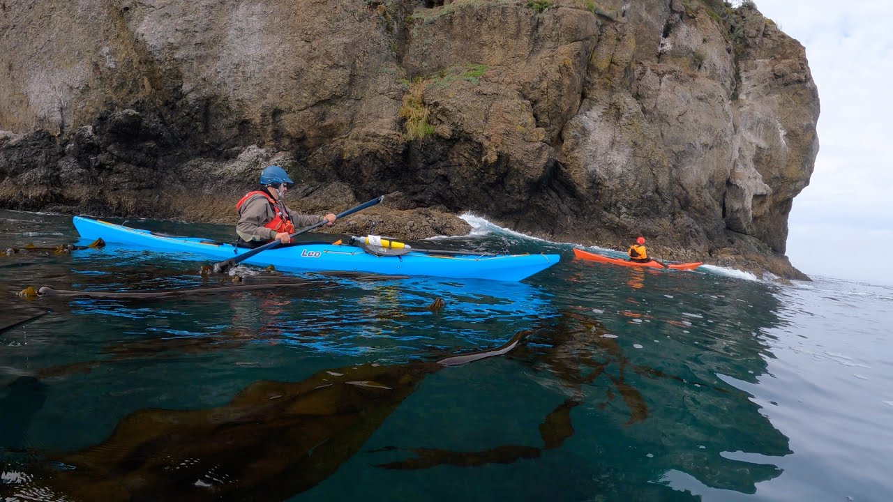 October 5th FreshWater Bay. P&H Leo