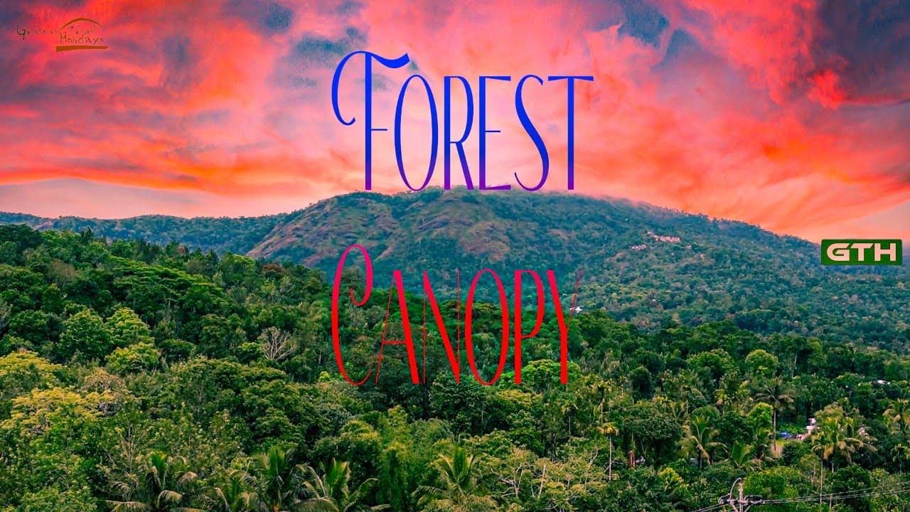 Forest Canopy/ Thekkady/ Green Trail Holidays/ Journey with GTH