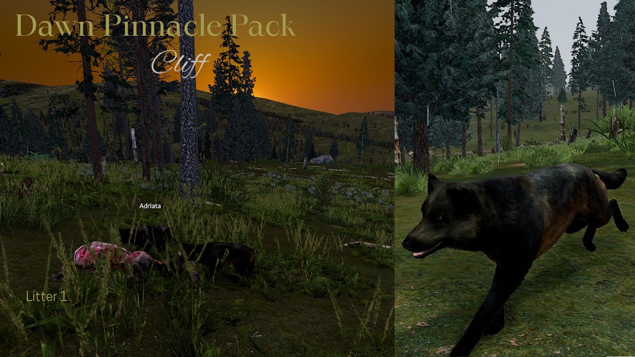 Dawn Pinnacle Pack - Cliff L1 - Rendezvous/Grow Pups [WolfQuest Saga]