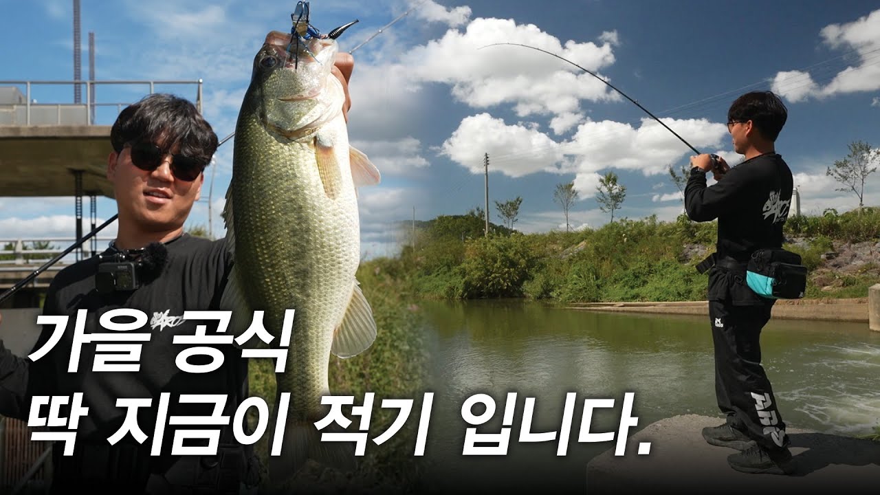 가을은 왜 이 방법이 잘먹힐까? 포인트마다 꽝이 없네   [이민우 FISHING AMBITION vol.18]