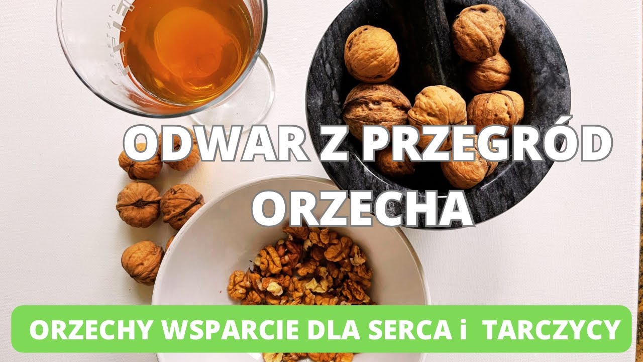 Odwar z przegr&oacute;d orzecha. Pomoc dla serca i tarczycy.  Jakie ma właściwości i jak stosować.