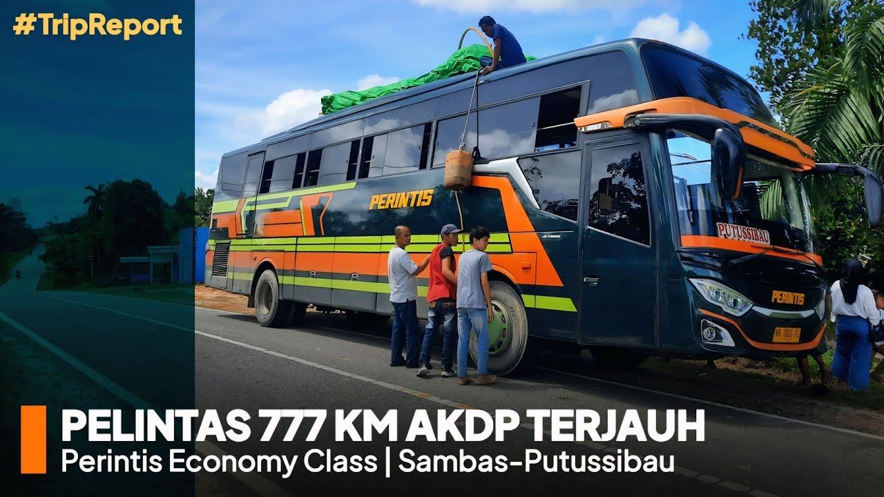 BUS BESAR AKDP TERJAUH INDONESIA !!! | Trip Report Perintis Economy Class Sambas-Putussibau