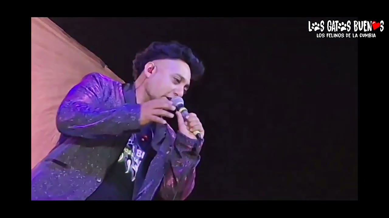 Los Gatos Buenos  - Adiós amor / Otro día más (En Vivo)