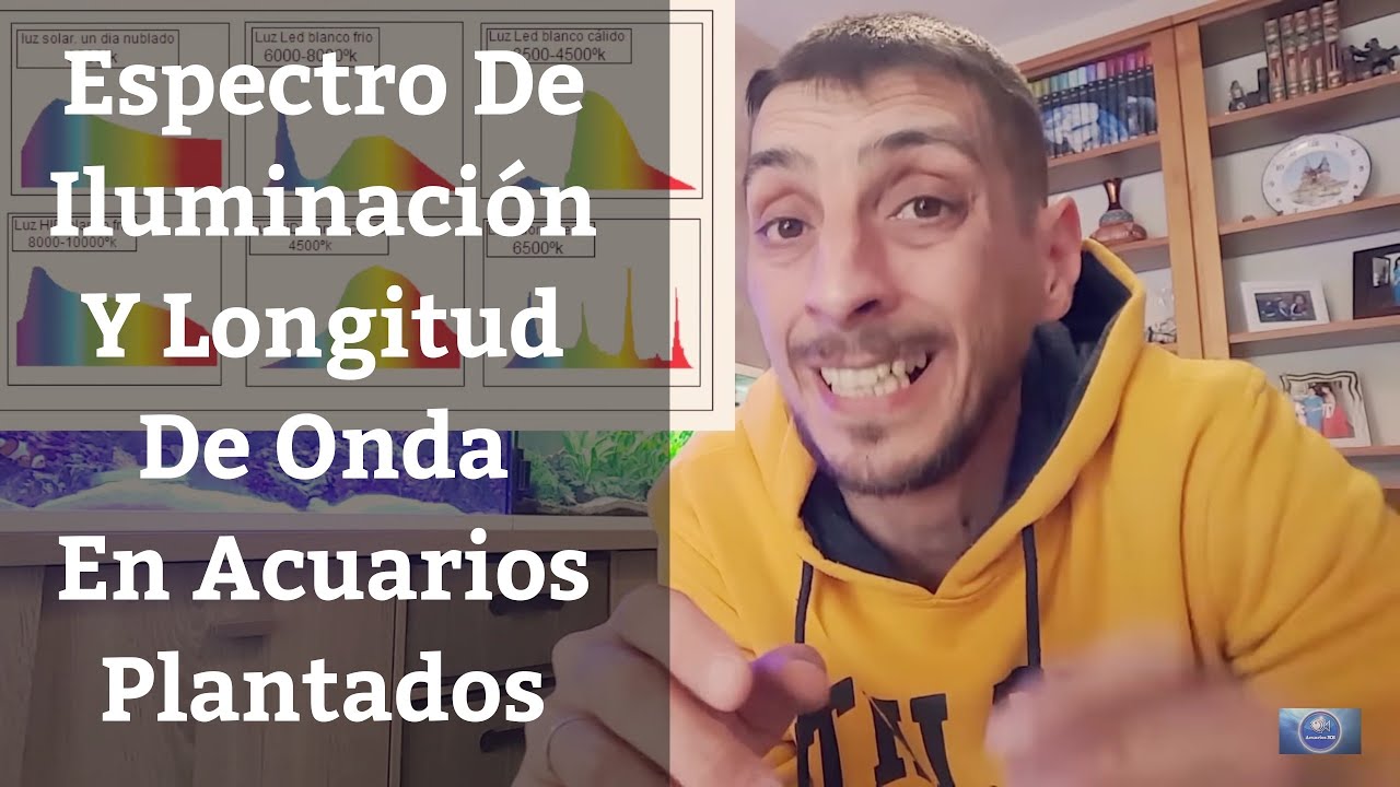 🔵 Espectro De Iluminación Y Longitud De Onda En Acuarios Plantados (Acuarios MB)