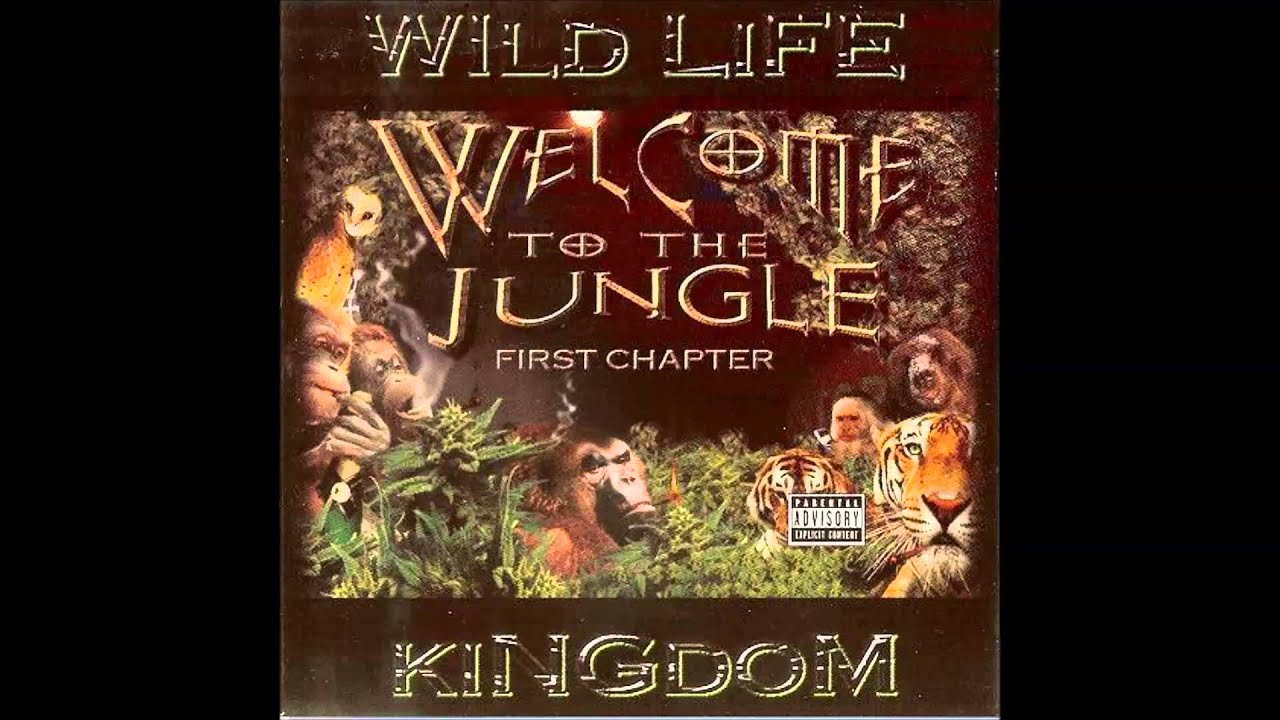 15  WILD LIFE KINGDON WELCOME TO THE JUNGLE  Mr  Budman