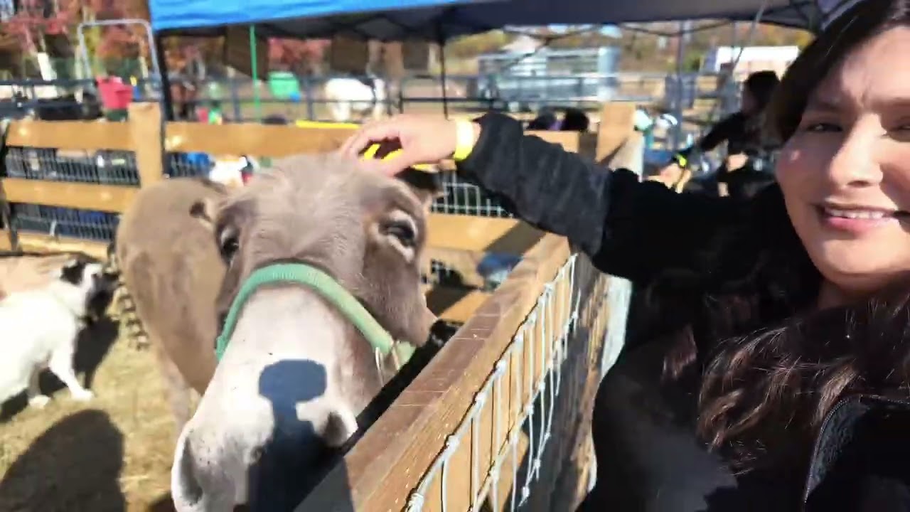 Our first pumpkin patch with my in laws🎃🩷