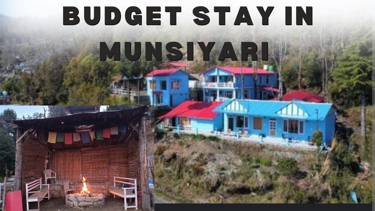 One of the best 👌😍 stay in Munsiyari Uttarakhand⛰️🌳   with scenic 🥰views