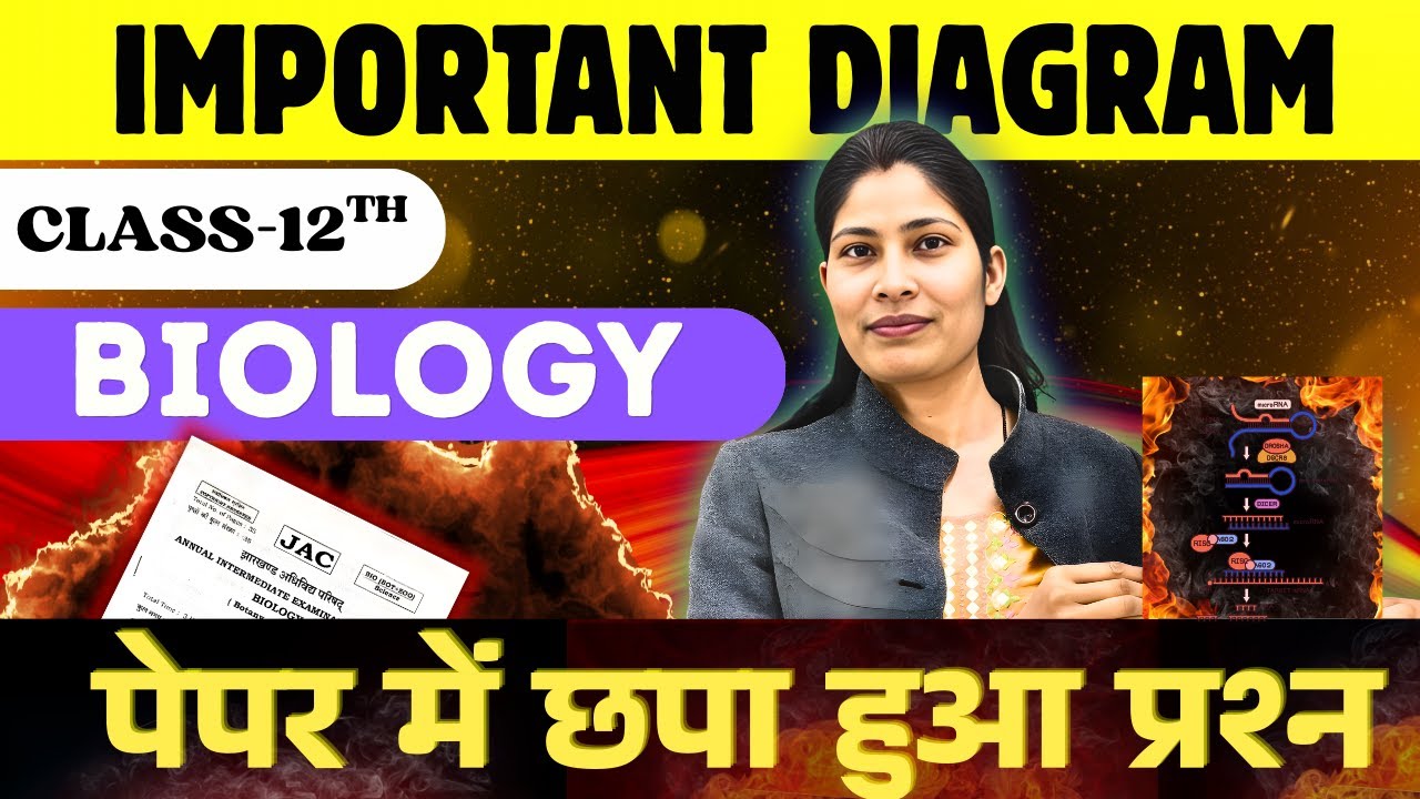 Biology के महत्वपूर्ण Diagram 🔥| पेपर में छपा हुआ प्रश्न 🤫! 12th  JAC Biology Important Diagrams
